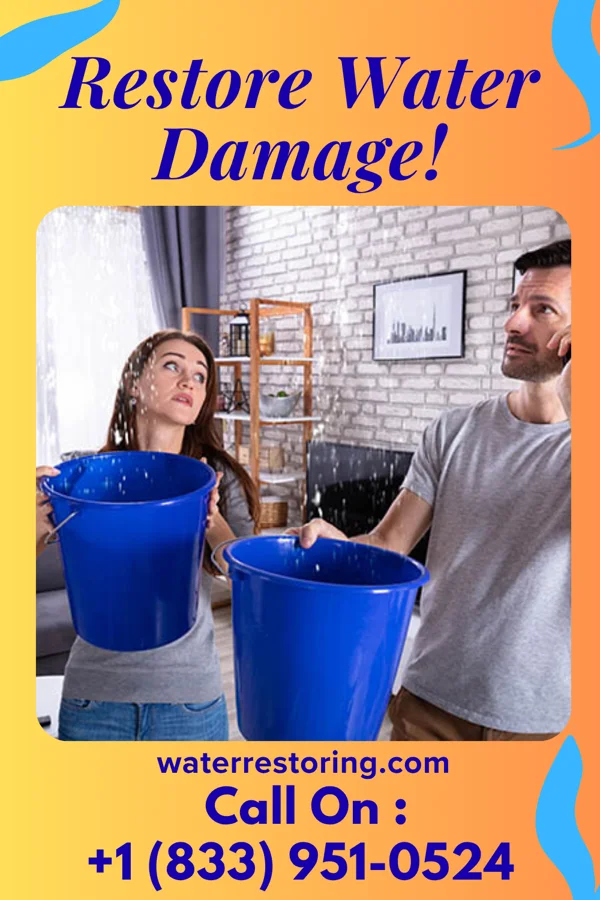 water restoration Quality Water Mitigation Masters McNabb