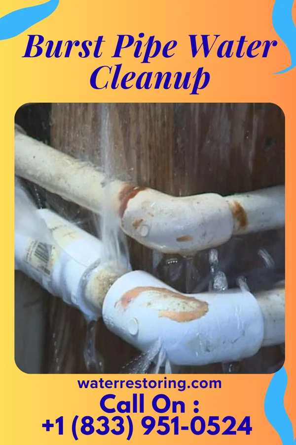 Burst Pipe Water Cleanup in McNabb, IL