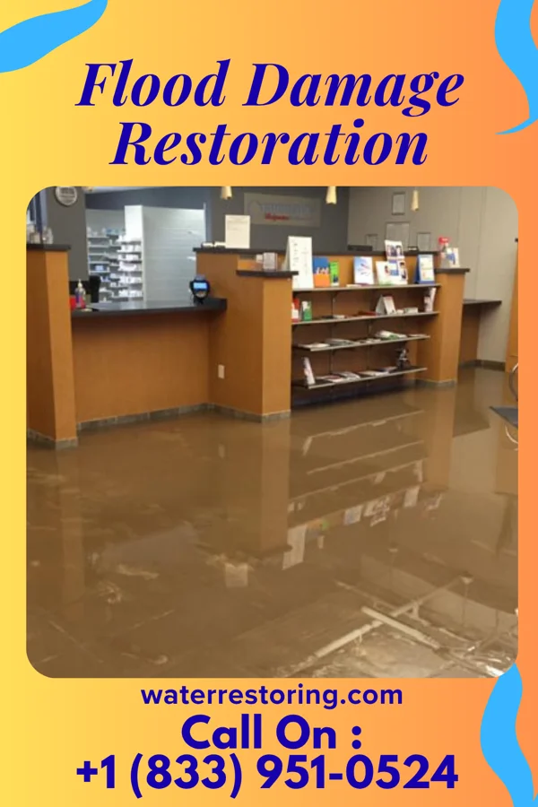 Flood Damage Restoration in McNabb, IL
